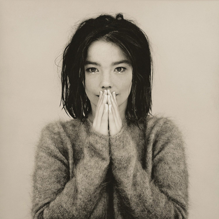 Cover of 'Debut' - Björk